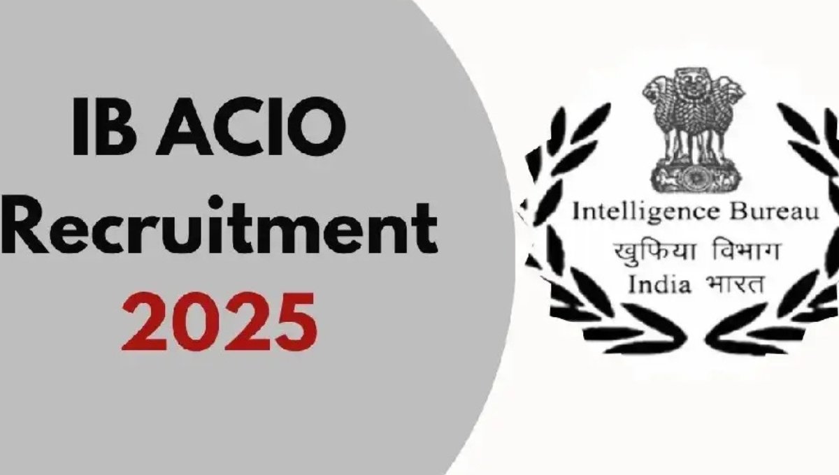 IB Recruitment 2025