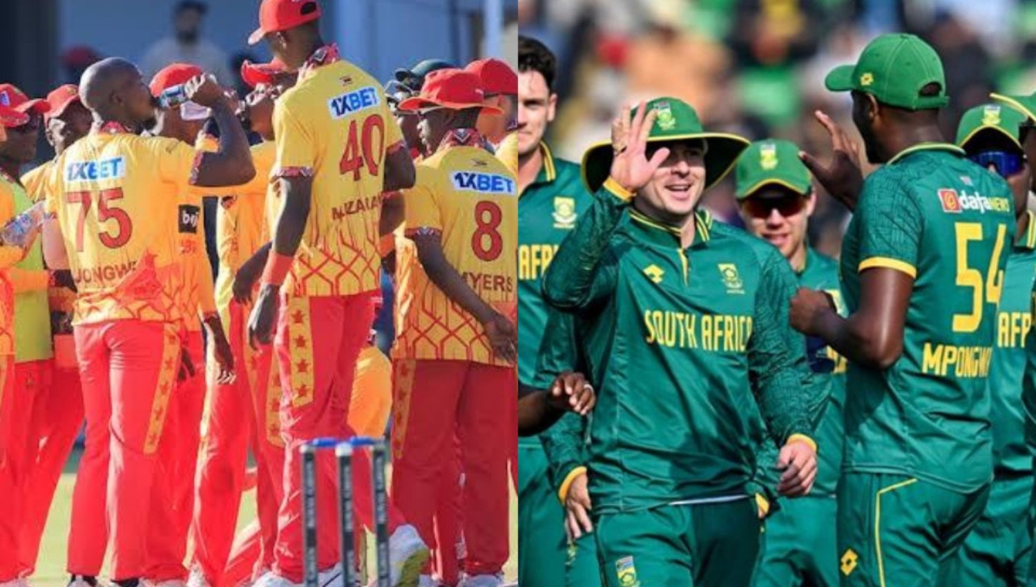 ZIM vs SA