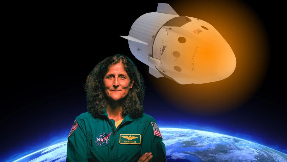 SpaceX Dragon's