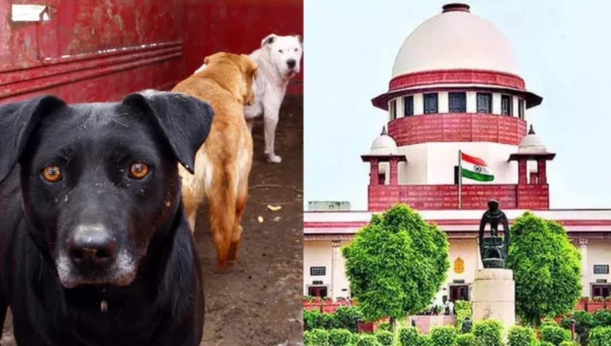 Supreme Court