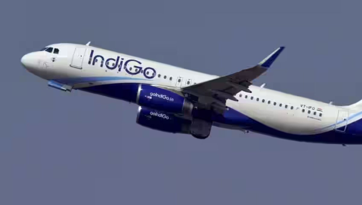 Indigo Share
