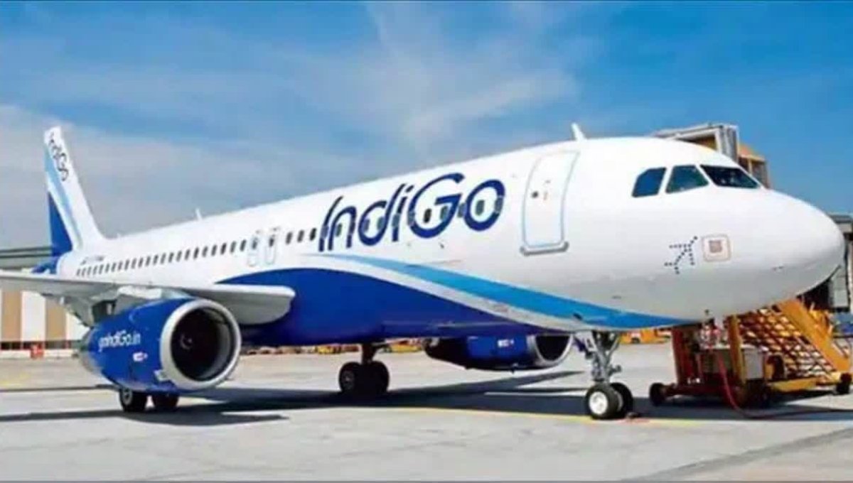 Indigo Share