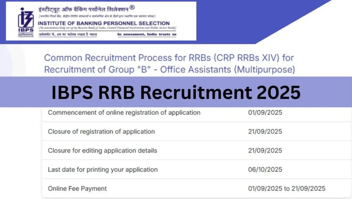 IBPS RRB Recruitment